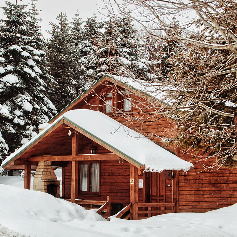 Cabin covered with snow surrounded by tree