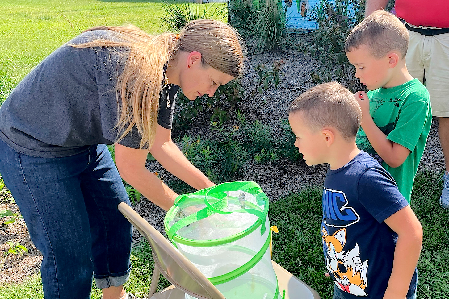 A woman bending over a netted container, showing butterflies to two small boys