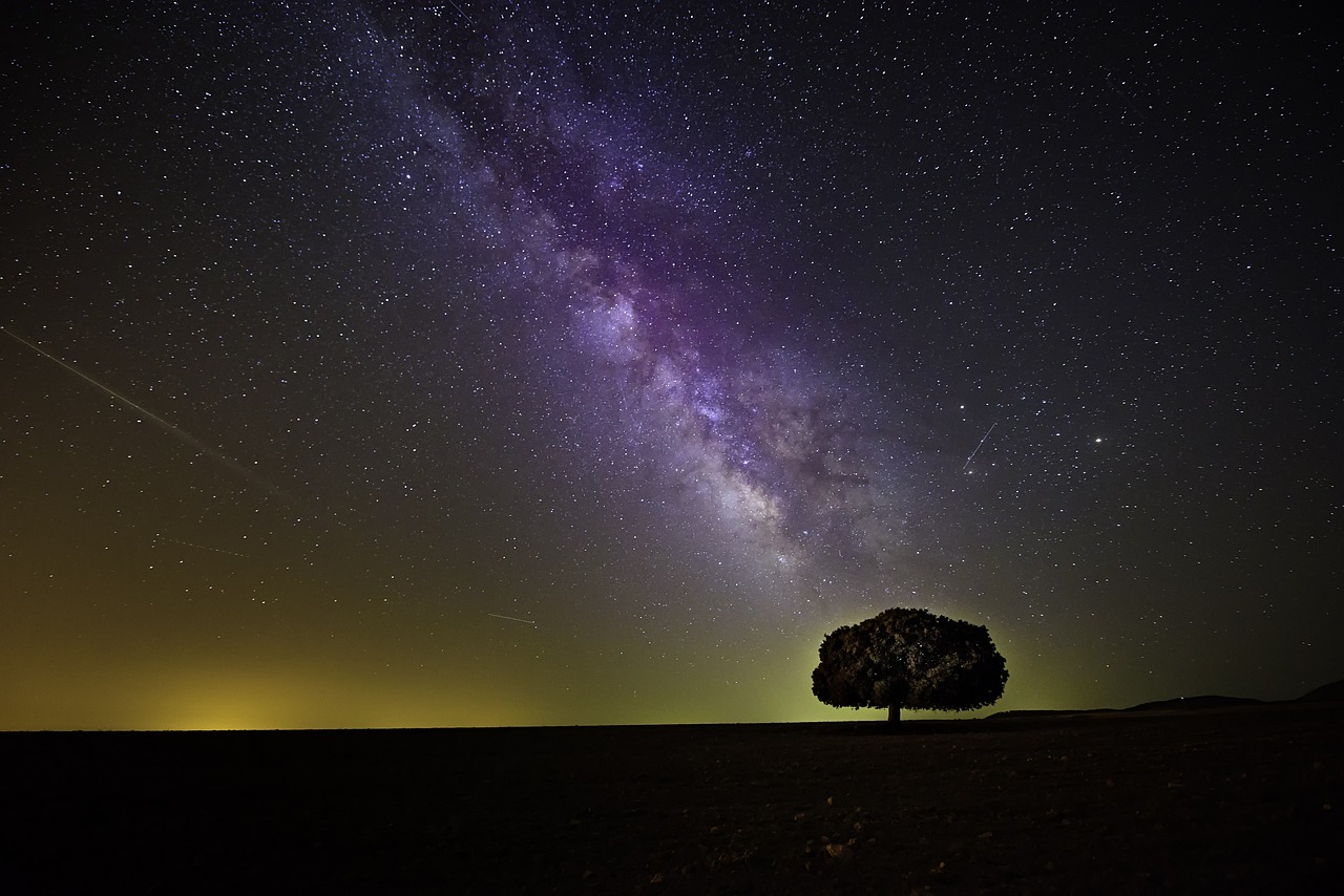 The Milky Way is visible in a moonless night sky.  The waning glow of the suns rays are barely visible on the horizon.  A single tree is silhouetted in the darkness.