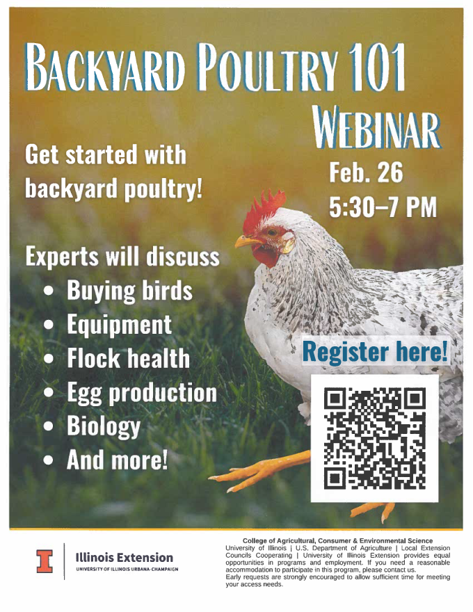 Flyer for backyard poultry 101 webinar