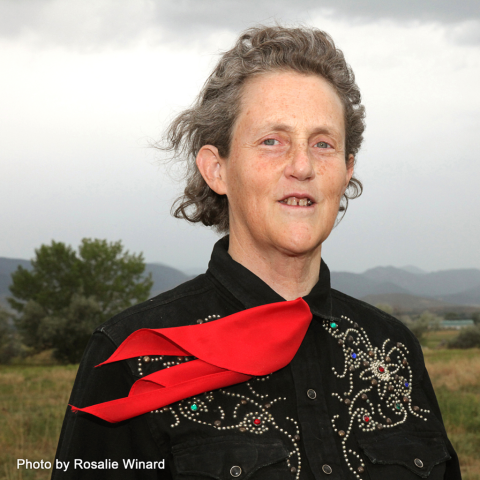 A woman wearing a black, western-style shirt with a red kerchief for a tie is standing outside.  The wind is blowing her hair and the trails of her kerchief.