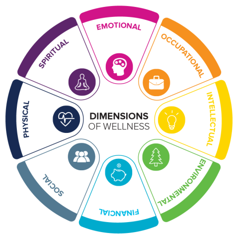 A pie chart with eight sections.  Each section is highlighted in a different color.  Each section identifies a dimension of wellness: emotional, occupational, intellectual, environmental, social, financial, physical, and spiritual.