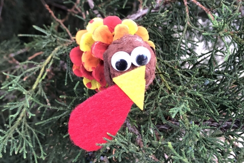 A pinecone decorated to look like a turkey in the branches of a conifer tree. 