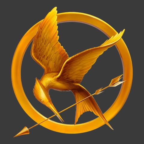 The Hunger Games symbol of a bird holding an arrow in its mouth.