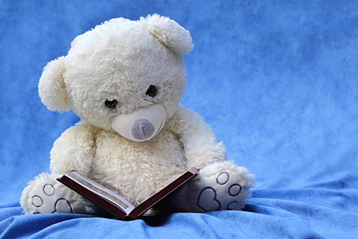 A white stuffed teddy bear is reading a book.